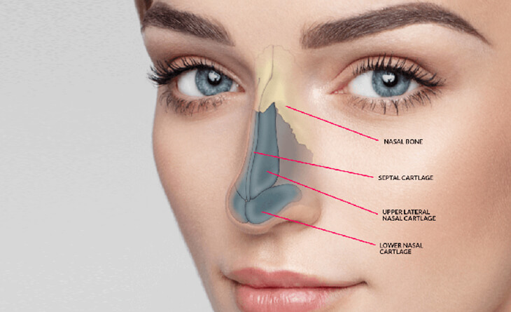 Rhinoplasty Surgery (Nose Job) Procedure