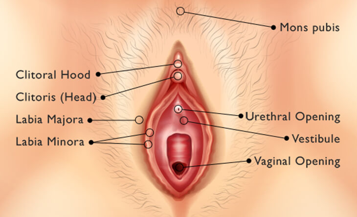 Female Genital Rejuvenation