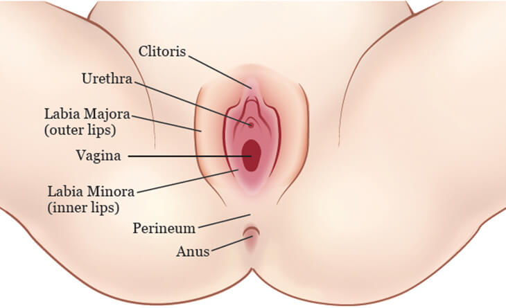Female Genital Rejuvenation