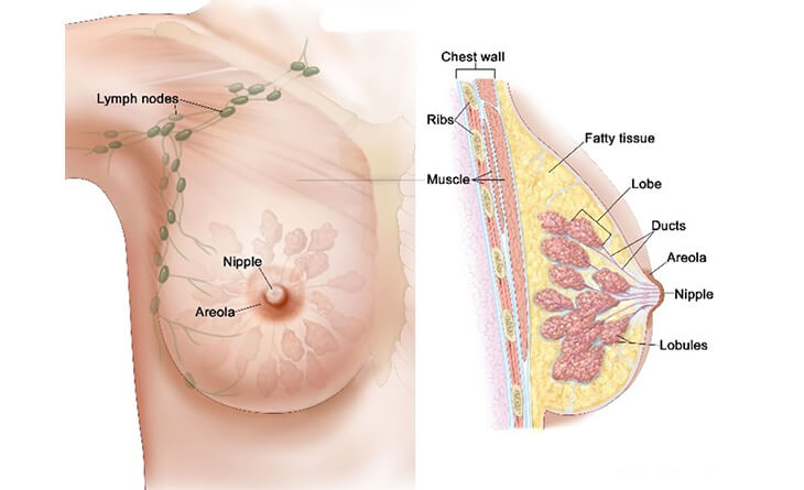 Can I Breastfeed After Different Types of Breast Surgery?